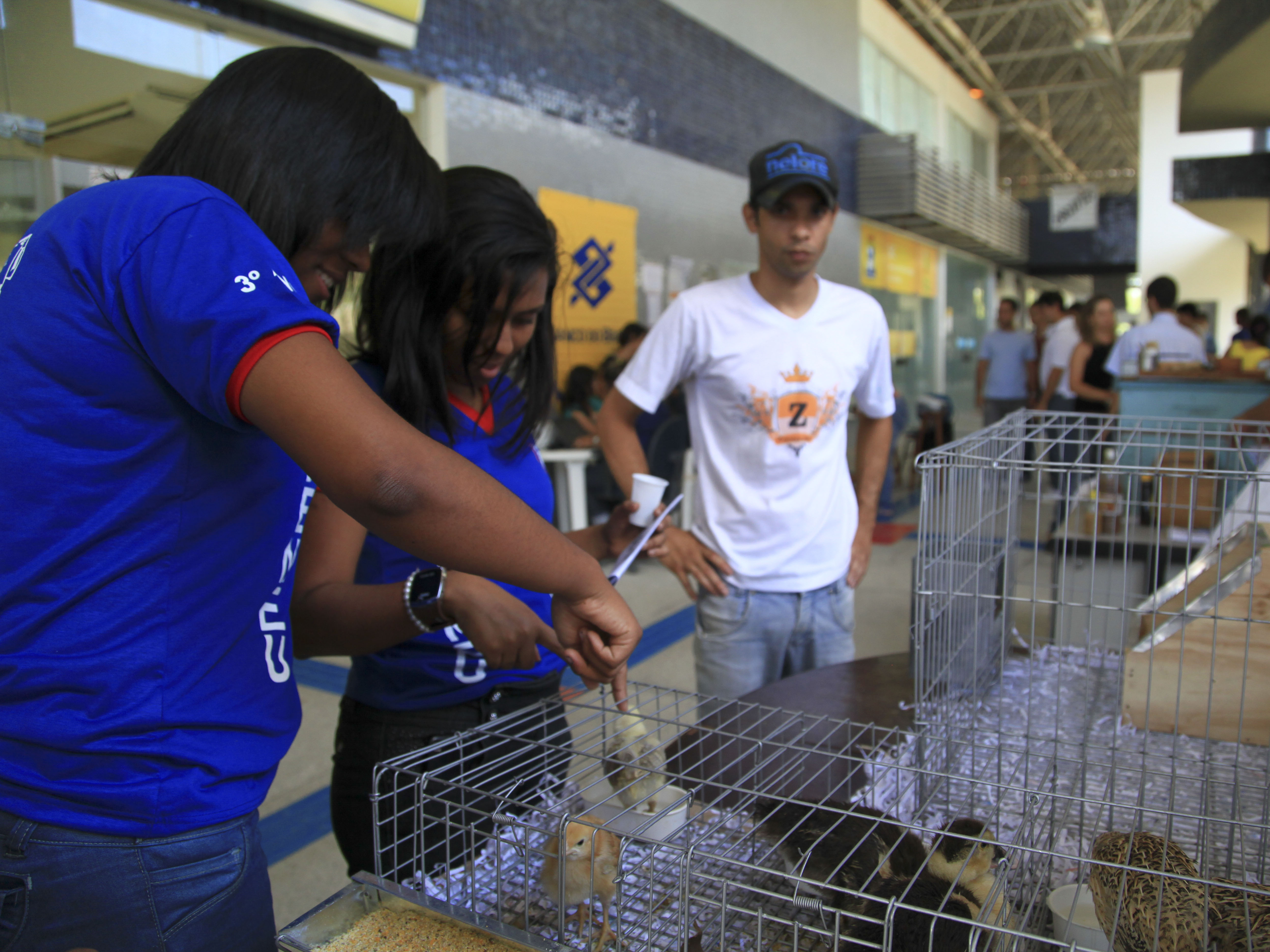 Evento contou com exposição de alunos do CCAA