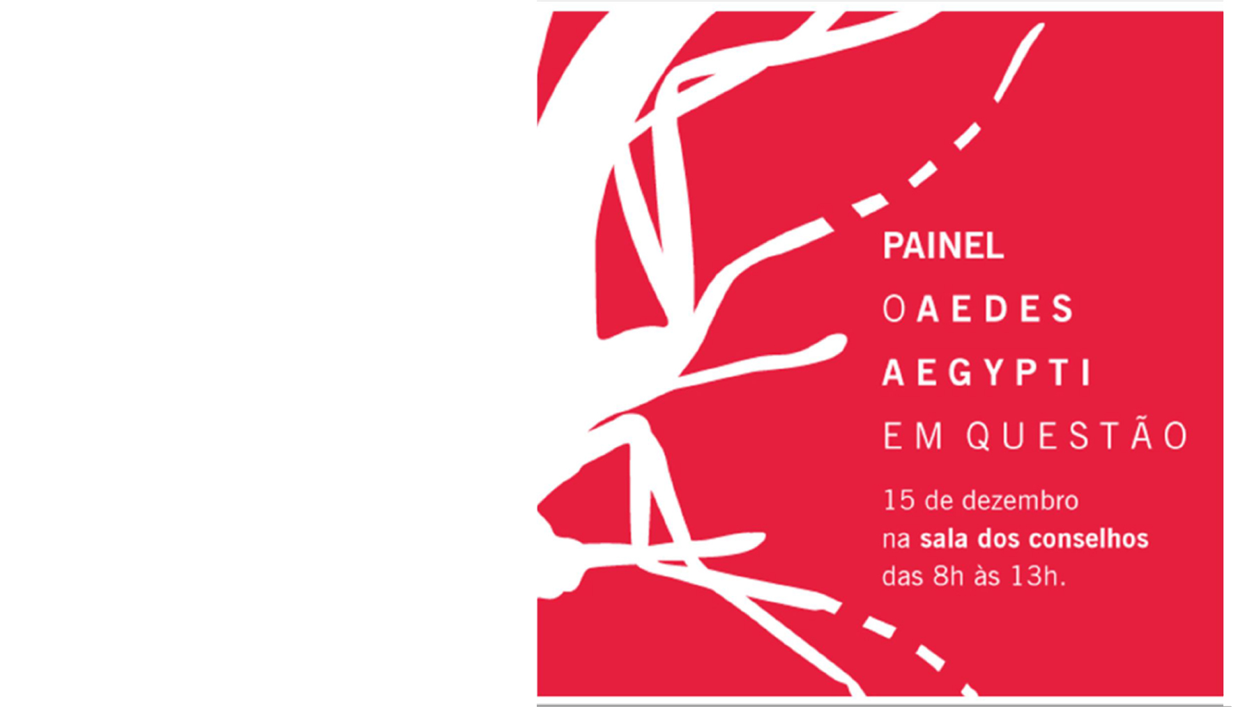 Leia relatório do painel sobre o Aedes 
