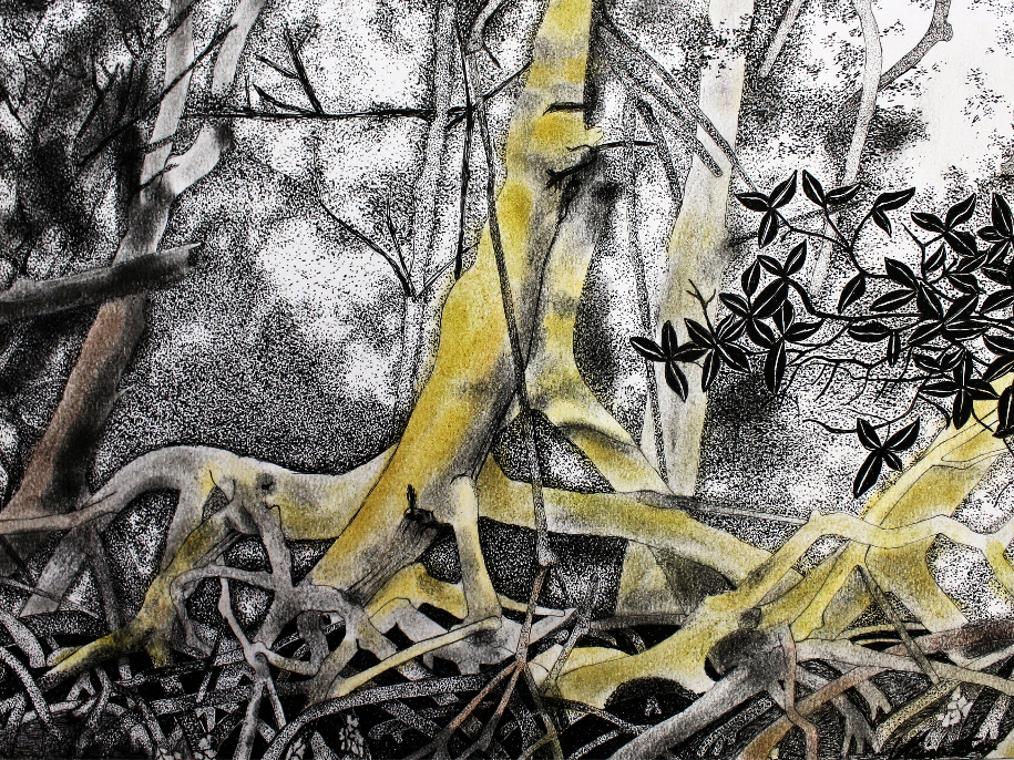 Mangue. Autor: Ubiratan Teixeira (2014). Técnica: nanquim e pastel sobre papel. Página 23.